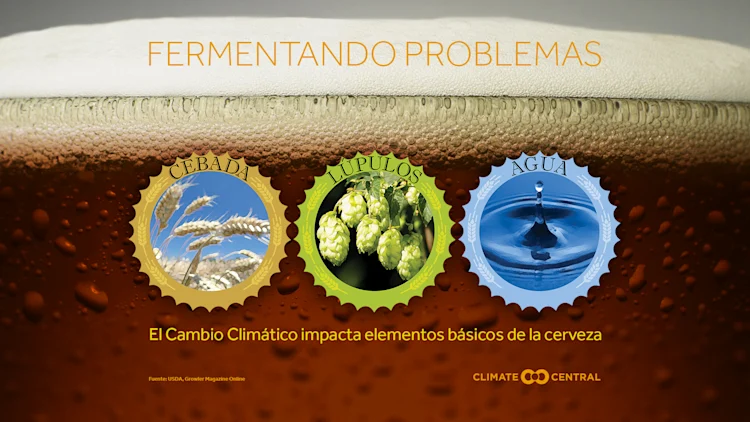 Fermentando Problemas