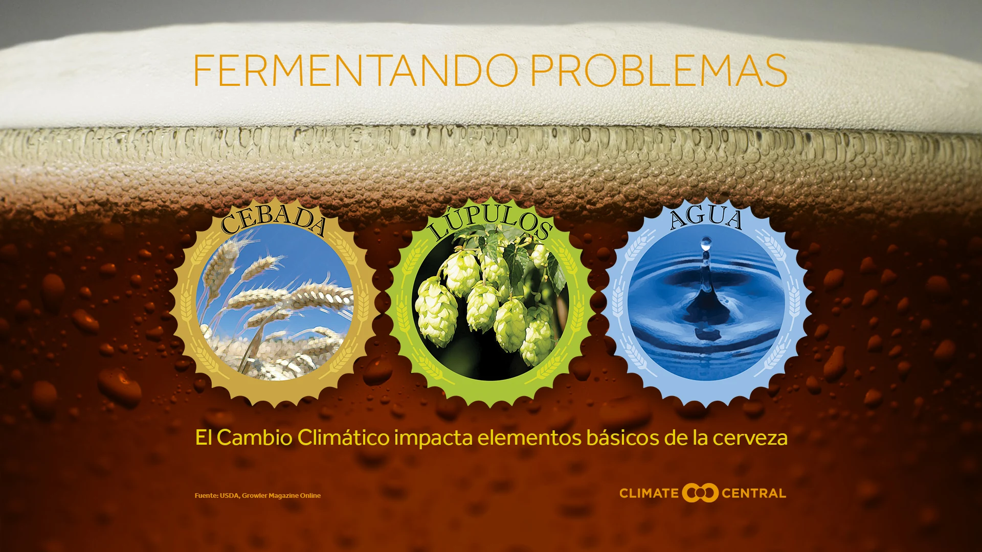 Fermentando Problemas