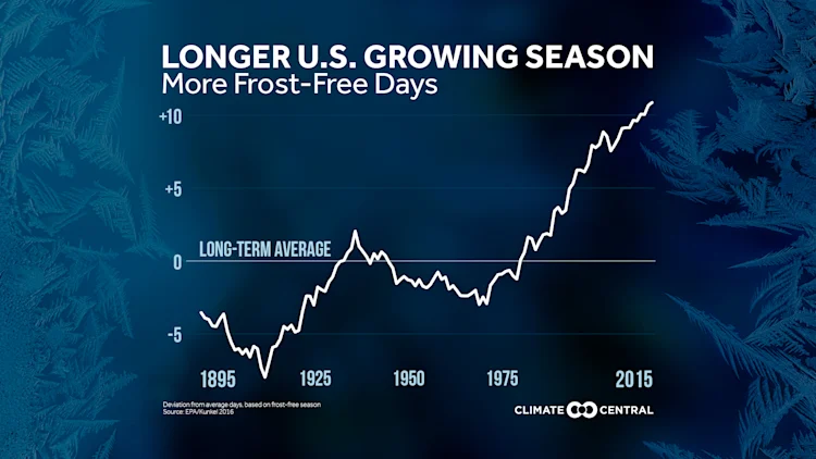 First Frost: Frost-Free Season Getting Longer