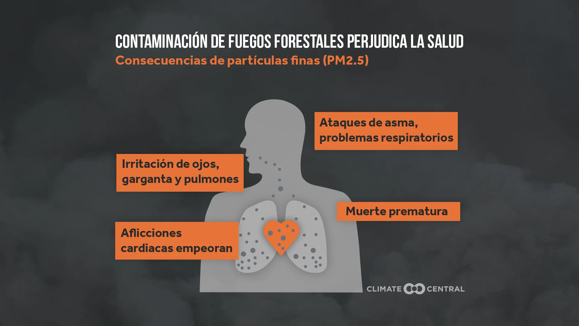 Incendios forestales del oeste y la contaminación del aire