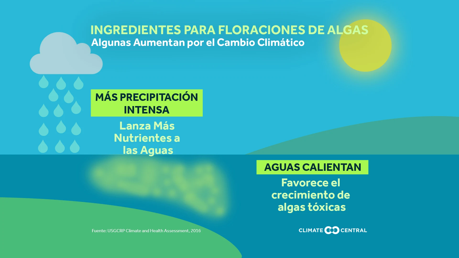 Floraciones de algas y cambio climático
