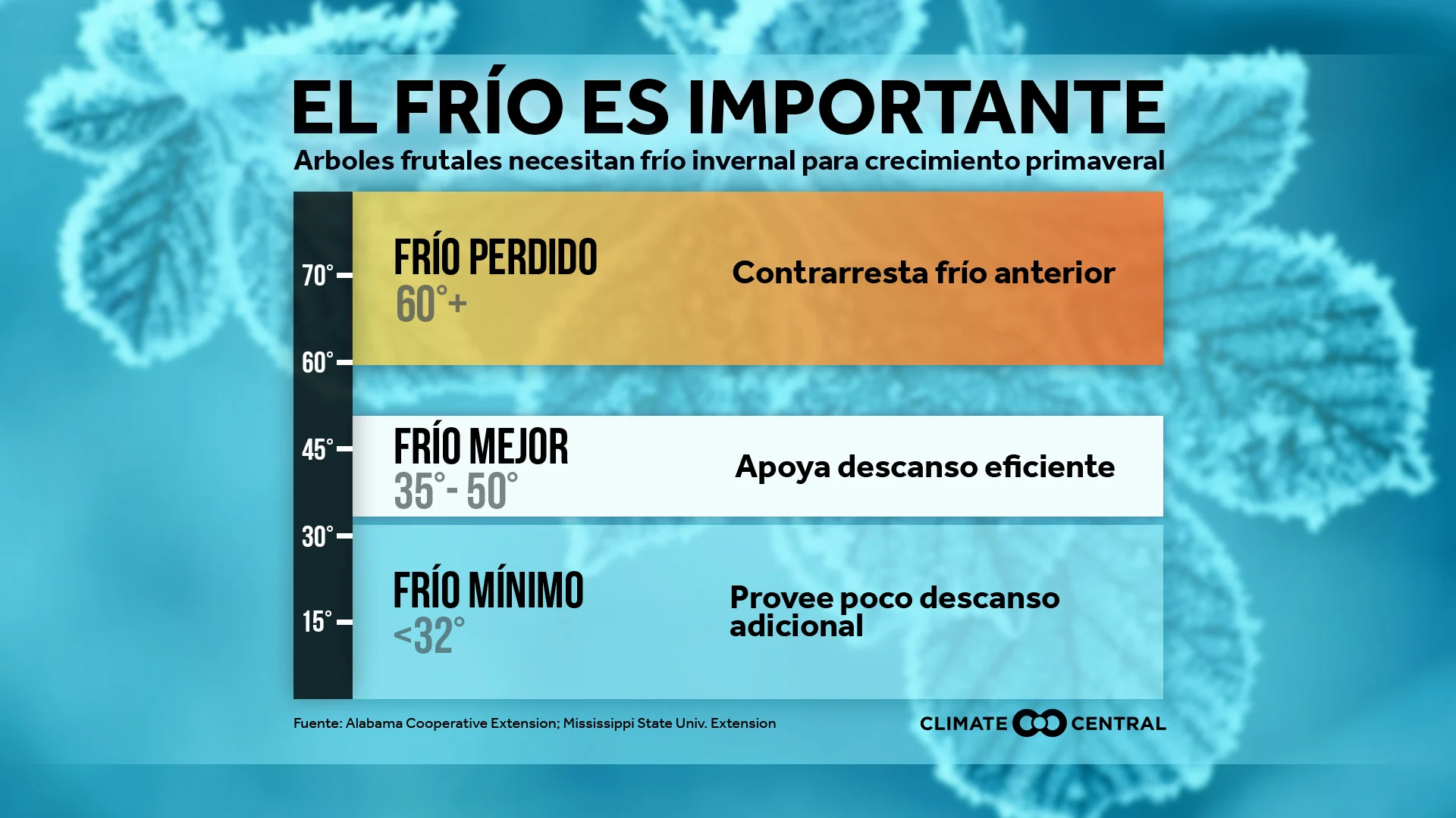 Los árboles frutales necesitan el invierno