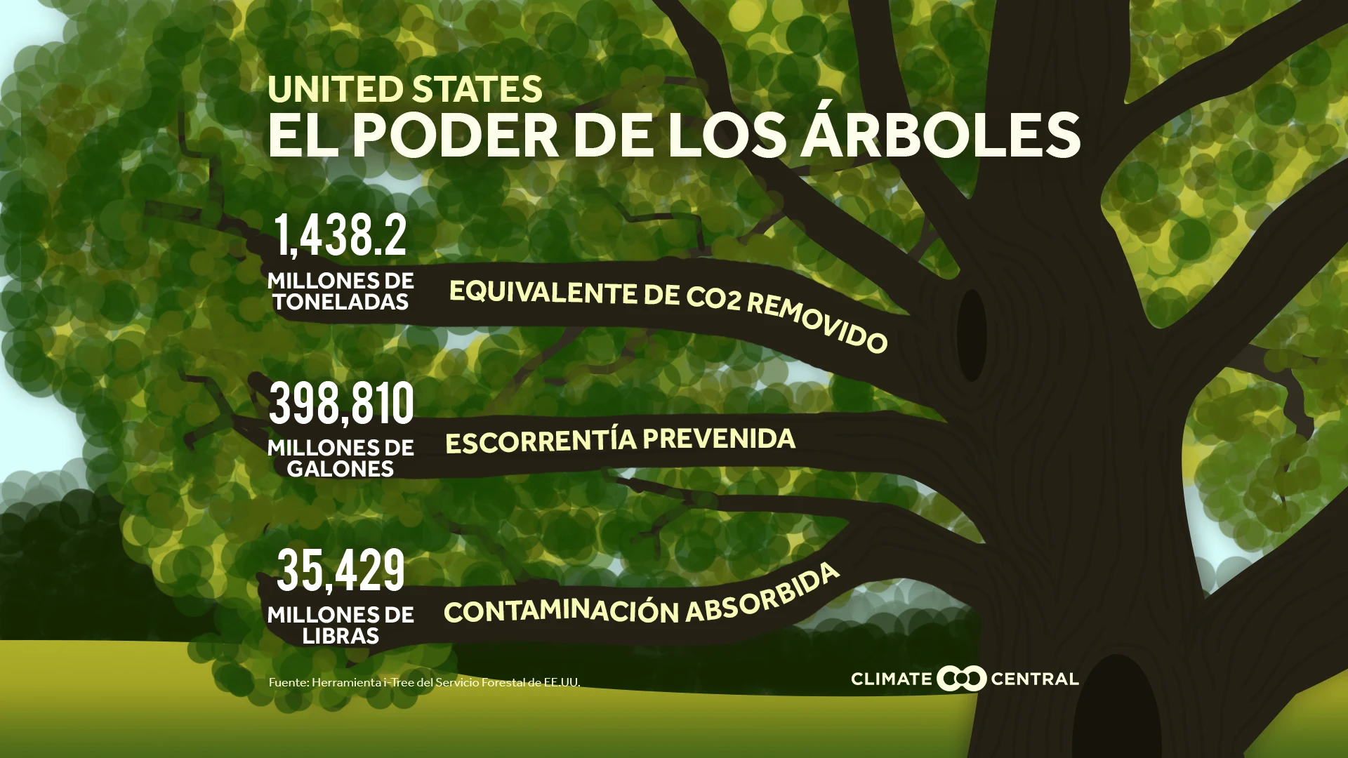 El poder de los arboles