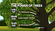 The Power Of Trees Climate Central