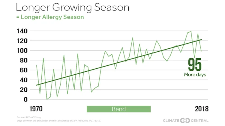 Your Changing Allergy Season