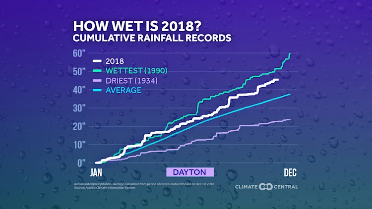 2018 Review: Rainfall