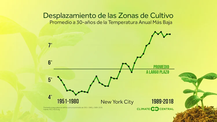 Zonas de Cultivo Se Desplazan Hacia el Norte
