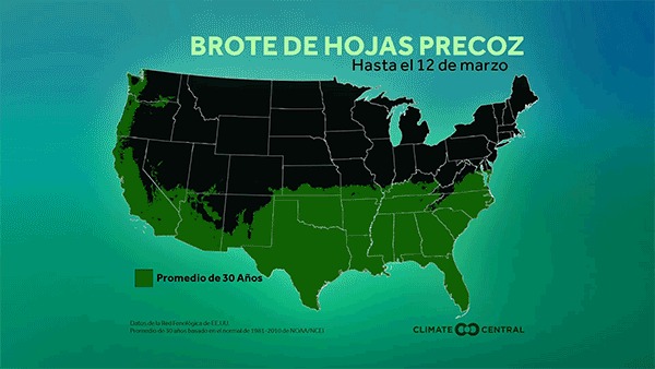 Hojeando más temprano