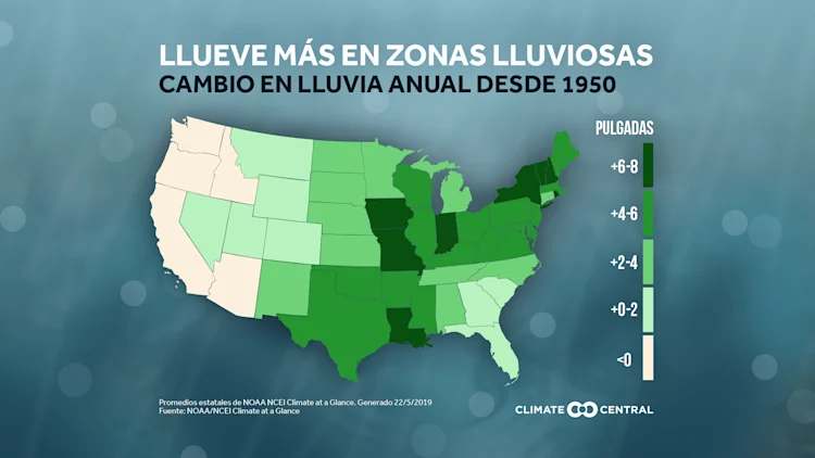 Lluvia del 2019 en contexto