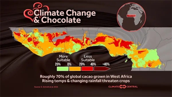 Valentine's Day: Champagne and Chocolate