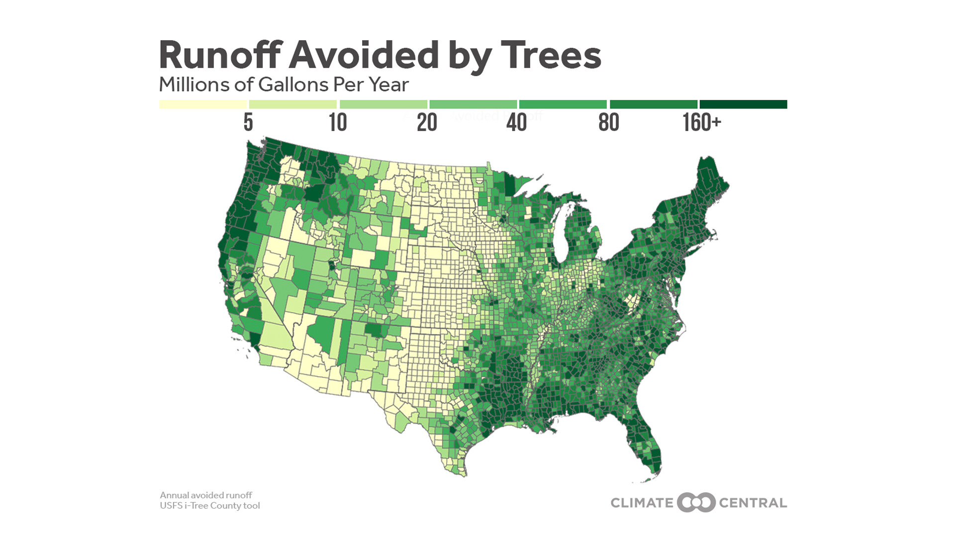To Control Stormwater, Plant a Tree | Climate Central