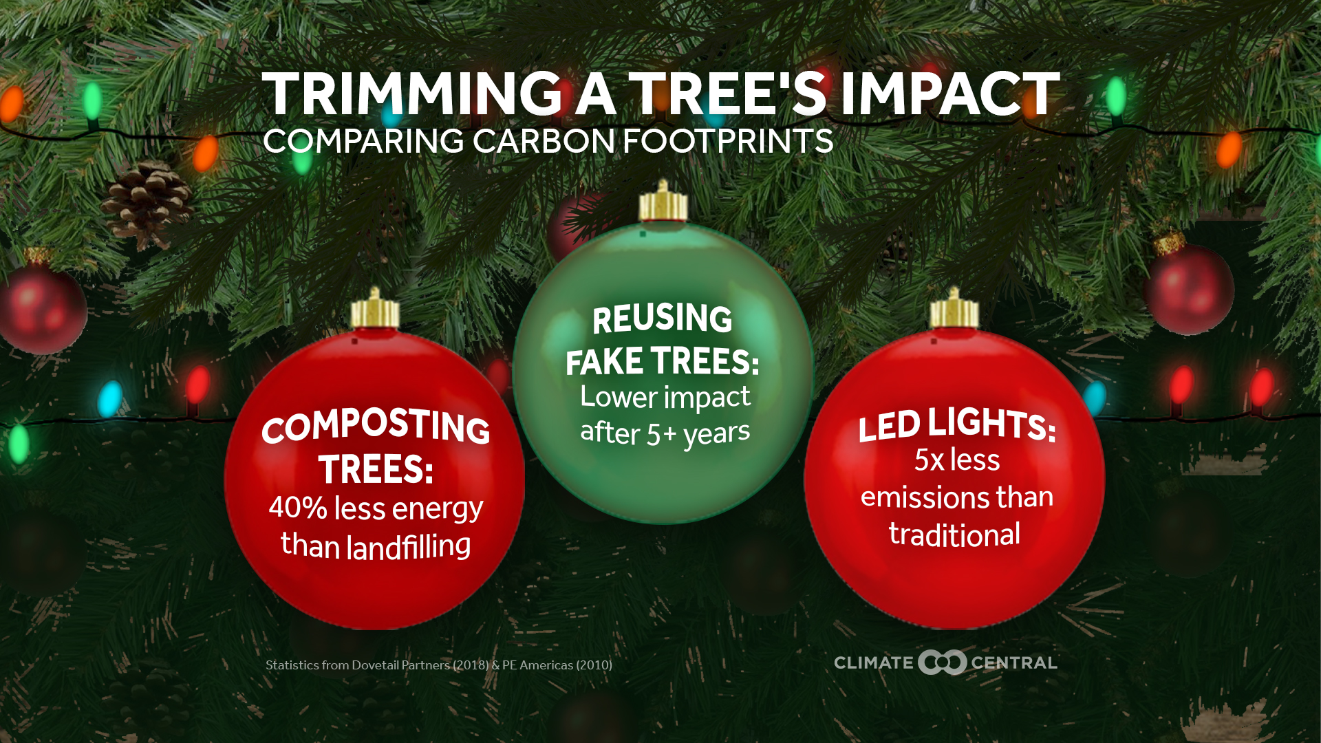 Fake Or Real? The Great Christmas Tree Debate | Climate Central