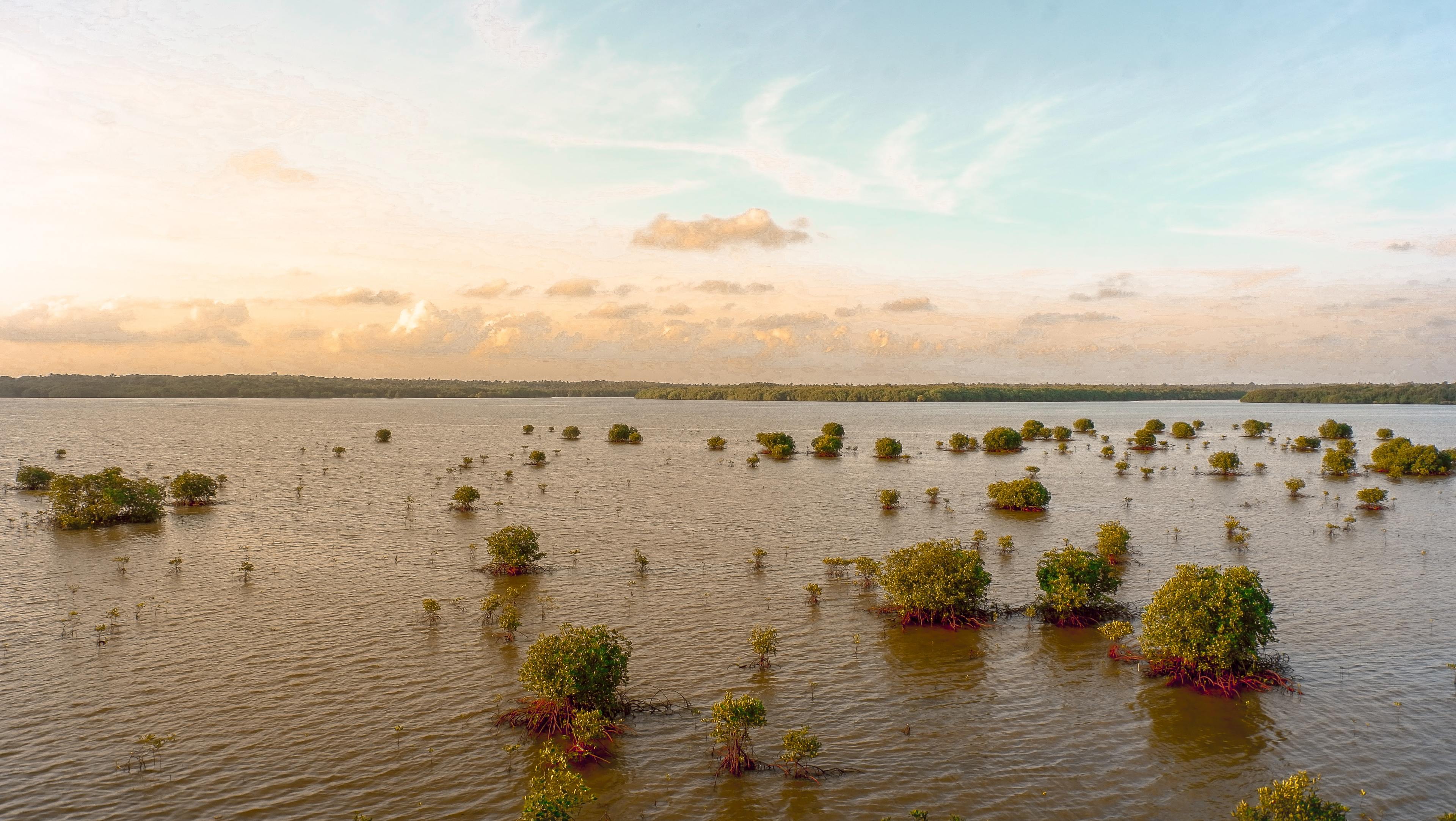 Affordable Housing at Risk of Coastal Flooding