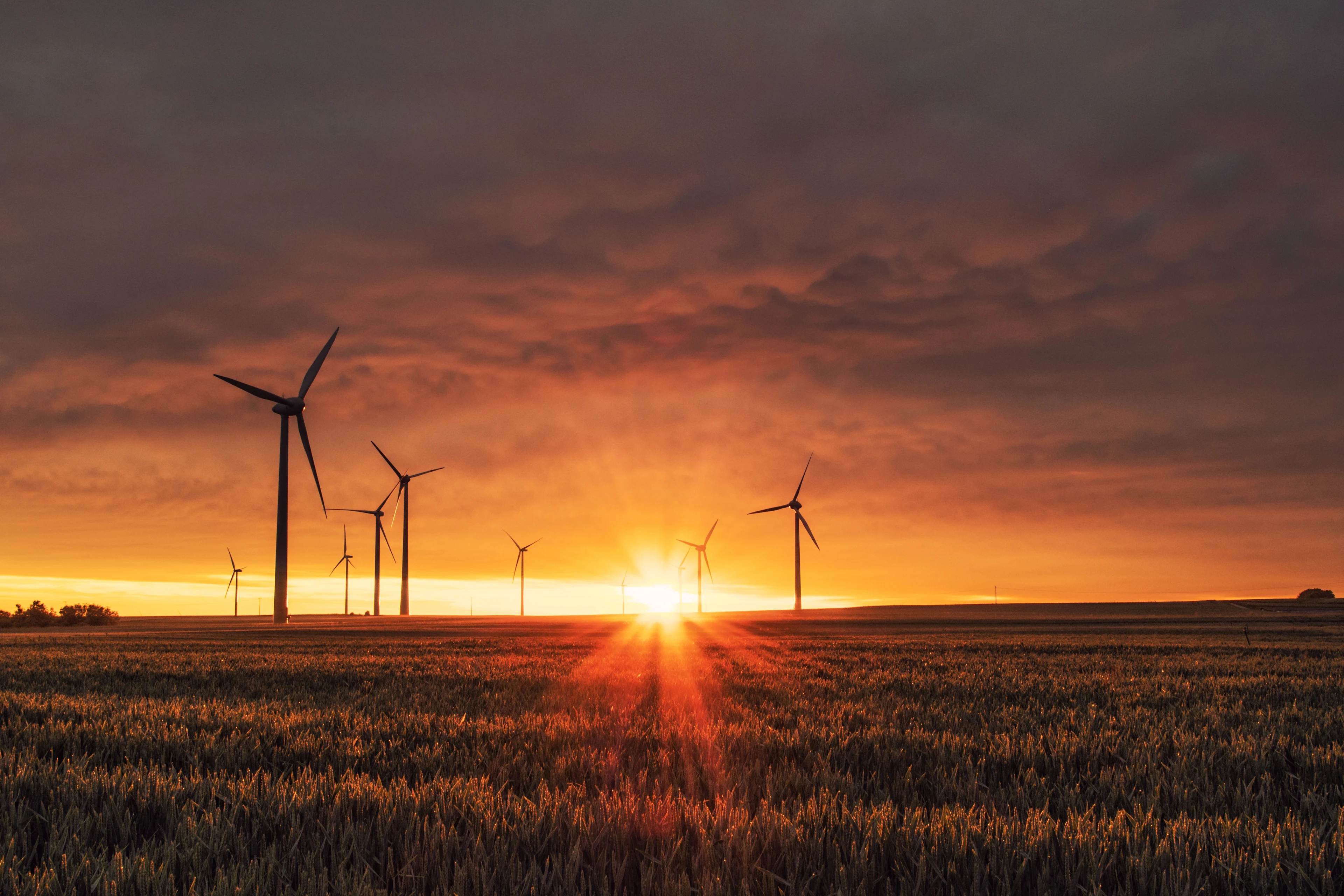 Workshop: Climate Journalism Collaborations