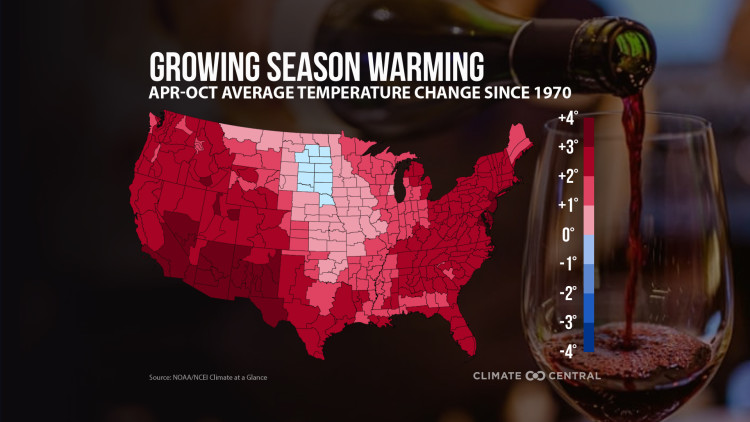 Climate Change & Wine