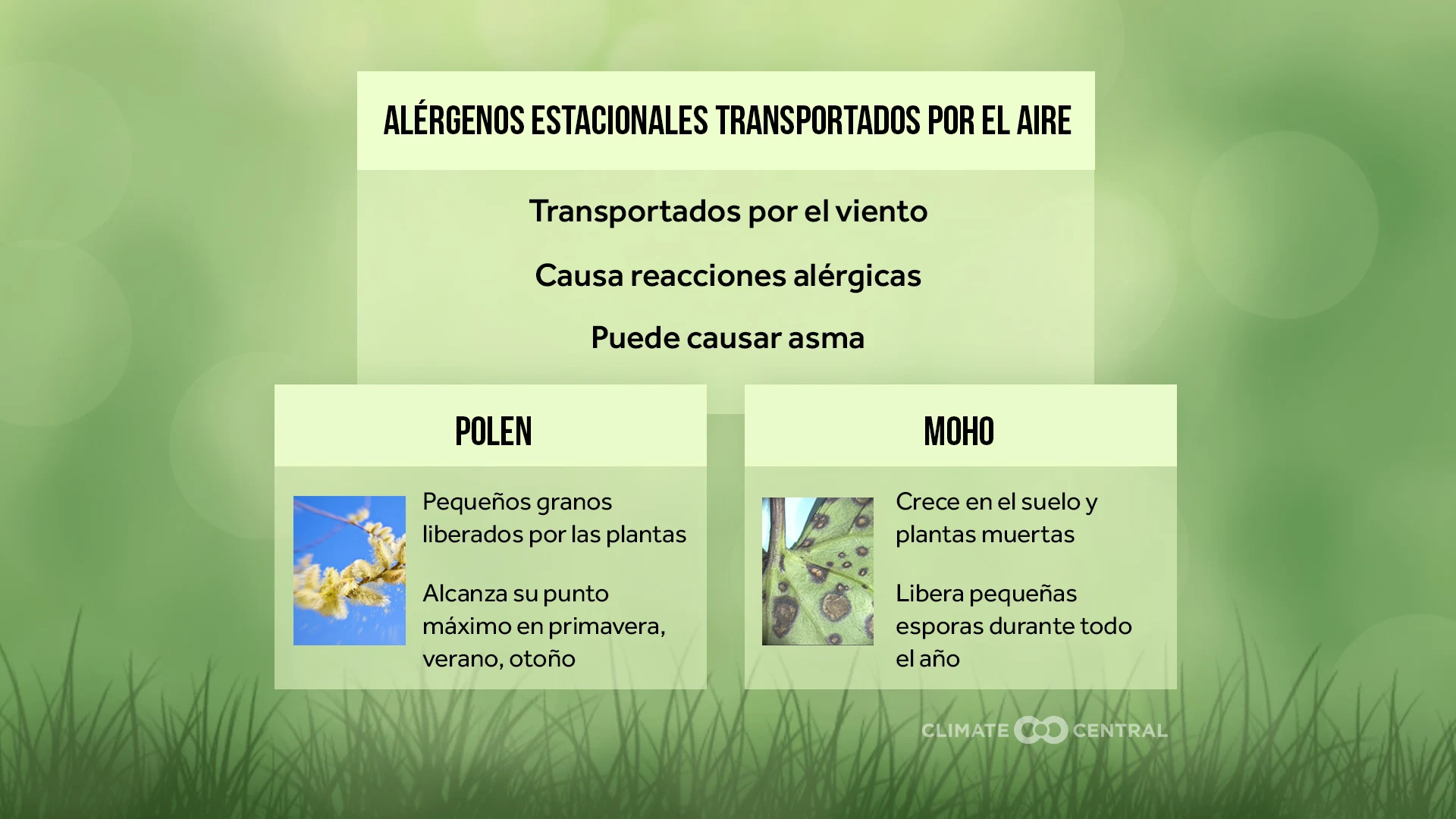 CM: Airborne Seasonal Allergens 2023 (ES)