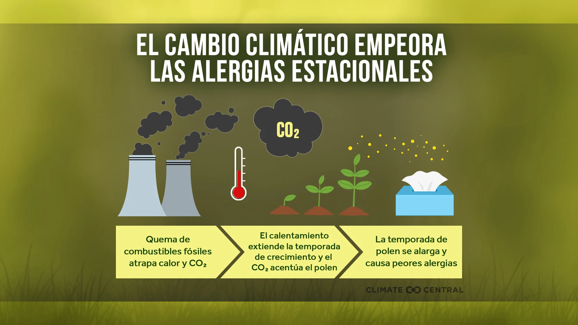 CM: Climate Change and Allergies (infographic/flowchart) 2024 (ES)