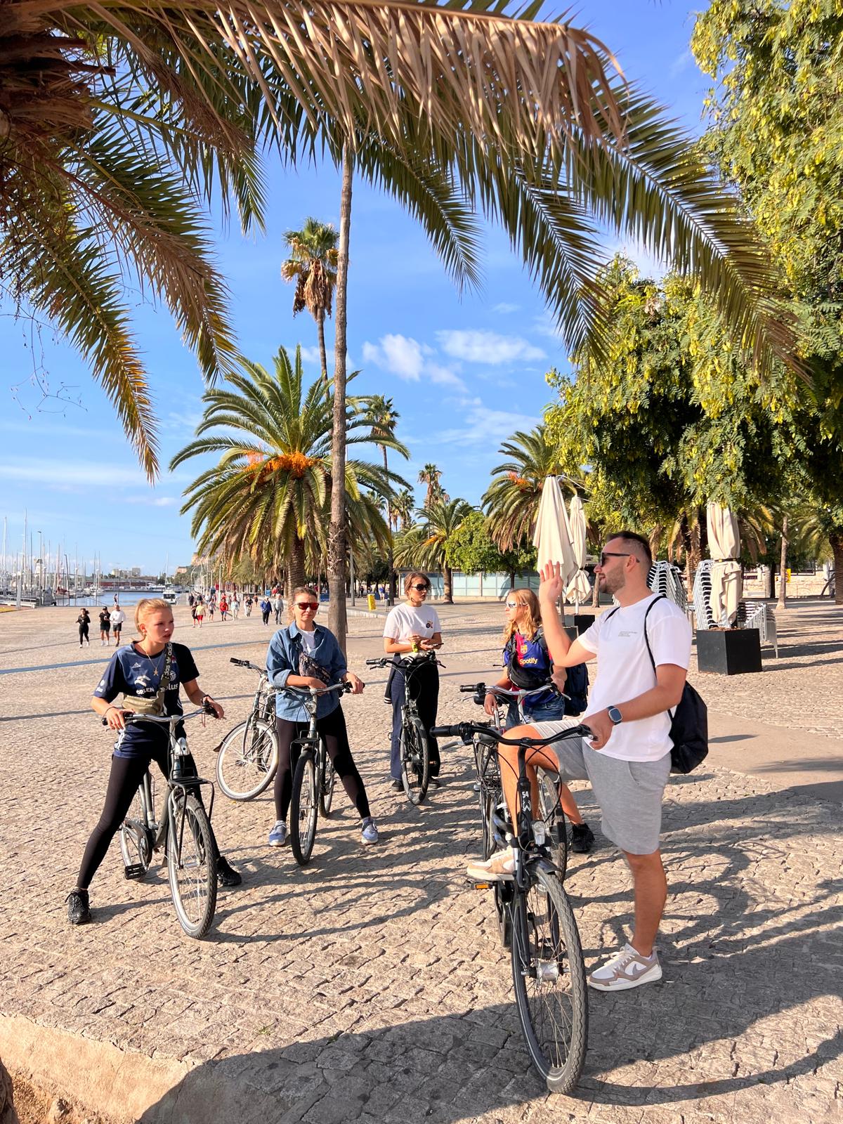 WhatsApp Imge 2026-02-12 at 13.21.31