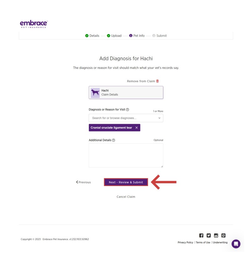 Add diagnosis and additional claim details of your pet. Then select Next - Review & Submit to continue