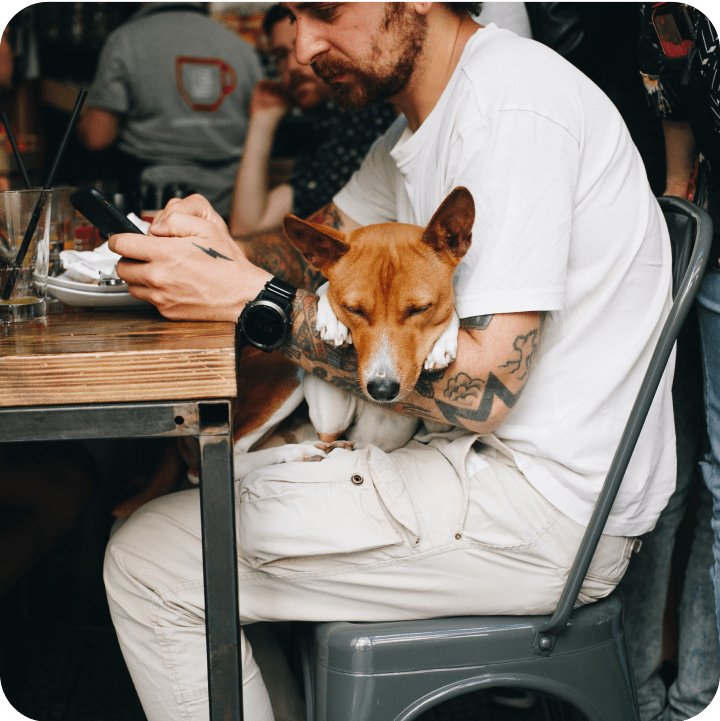 A pet owner holding his brown and white dog while picking the best deductible.