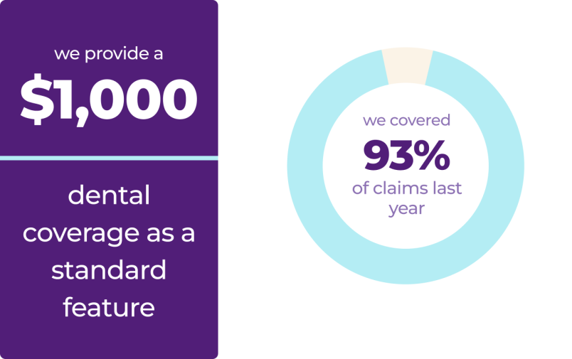 Pet insurance includes a standard feature of $1,000 dental coverage, and last year, 93% of claims were successfully covered