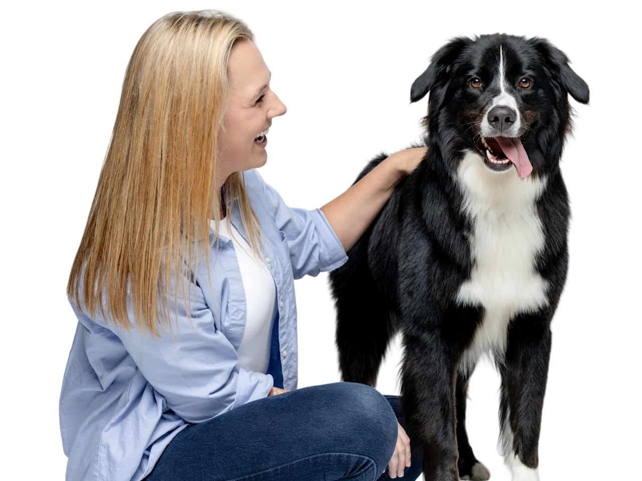 Embrace vs Pumpkin- An owner with her dog