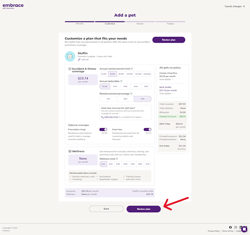 Screenshot from the Embrace portal showing the review plan button