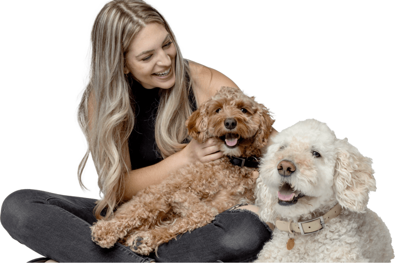 A picture of an owner playing with her dogs