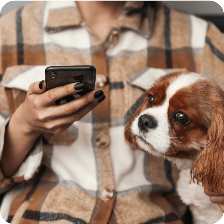 A woman looking at her phone with her dog by her side, reflecting the ease of providing feedback on supported technology through Embrace Pet Insurance's user-friendly platform.