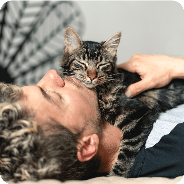 A tabby cat lying down on top of its human, both having certainty and peace of mind knowing the cat has pet insurance and wellness rewards, and that they can easily request for a Medical History Review.