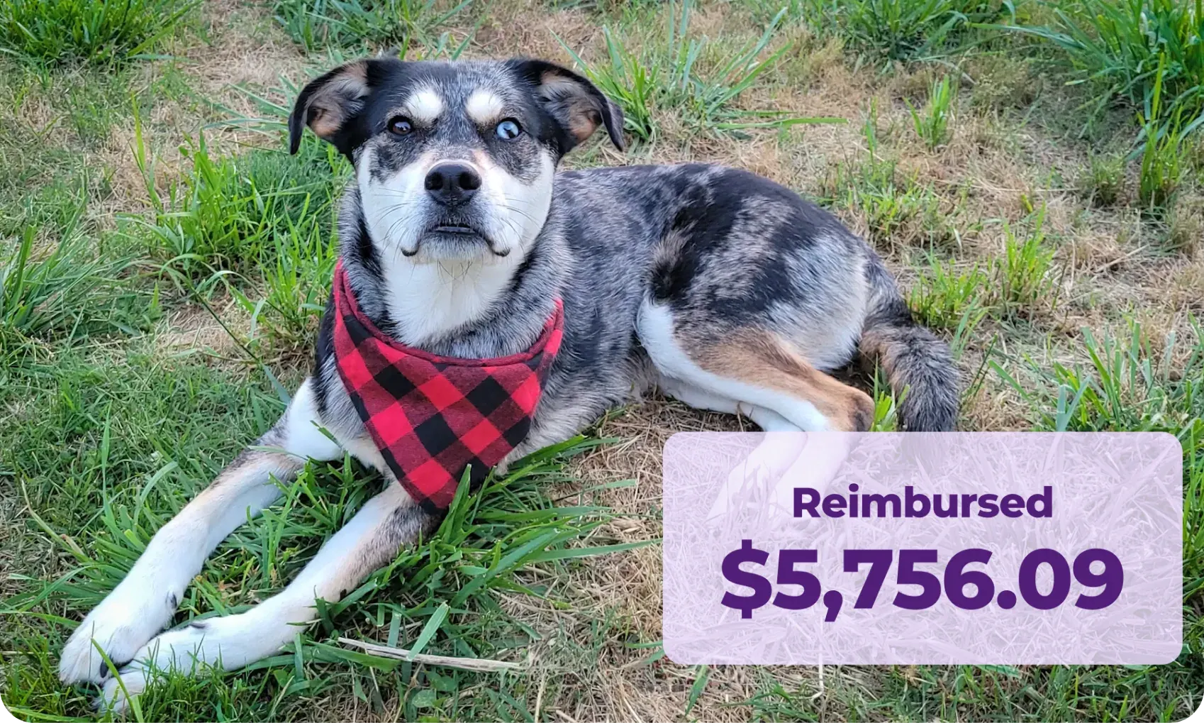 Video Thumbnail - Click to play