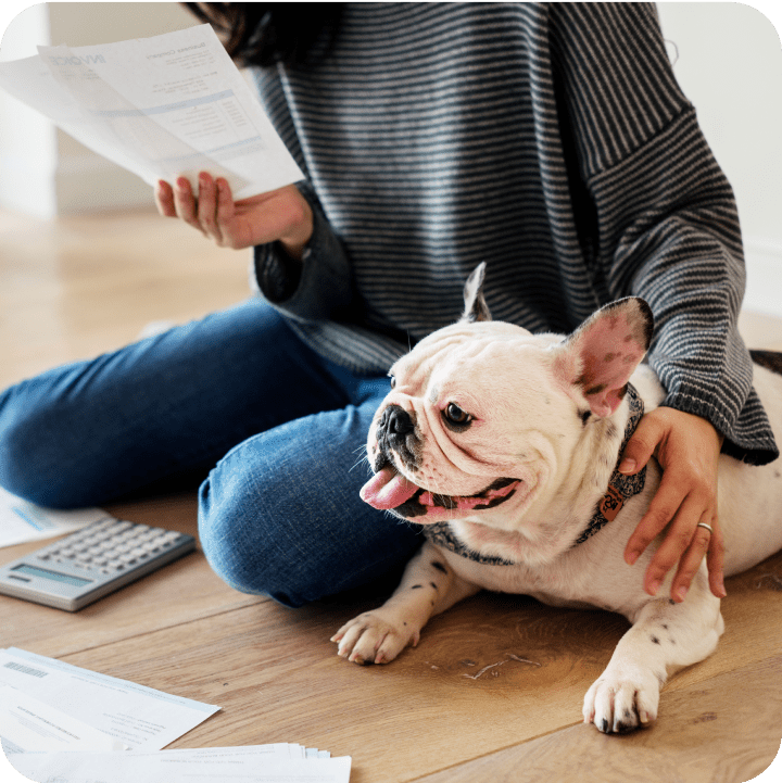 A dog sitting calmly beside its owner while she checks and compares pet insurance options on her device, determining the best plan for her dog's needs.