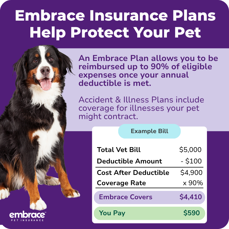 Embrace Insurance Plans Help Protect Your Pet

An Embrace Plan allows you to be reimbursed up to 90% of eligible expenses once your annual deductible is met.

Accident & Illness Plans include coverage for illnesses your pet might contract.

Example Bill
Total Vet Bill                  $5,000
  Deductible Amount       - $100        
  Cost After Deductible   $4,900
  Coverage Rate                x 90%
You Pay                           $590
Embrace Covers           $4,410