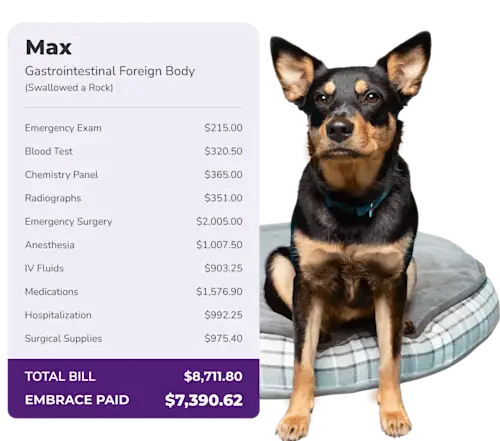 Max cost breakdown