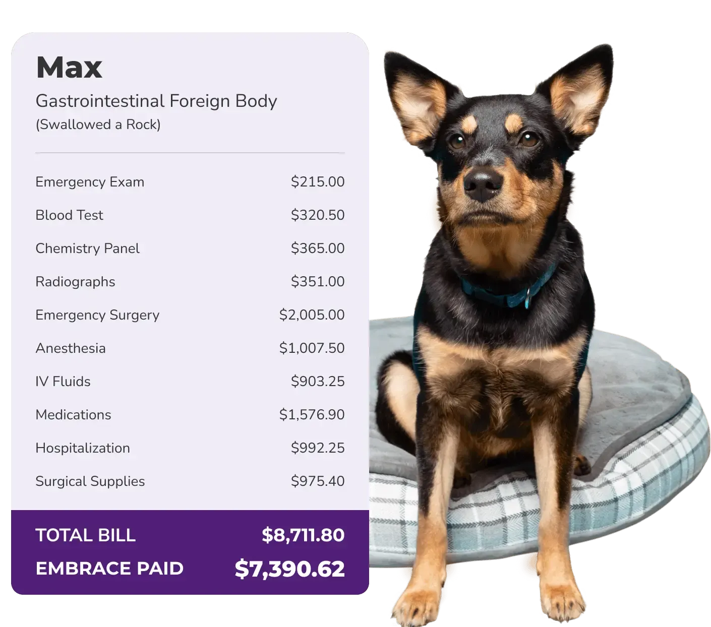 Max cost breakdown