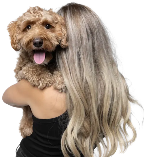 Homepage - Wellness Rewards for Routine Care