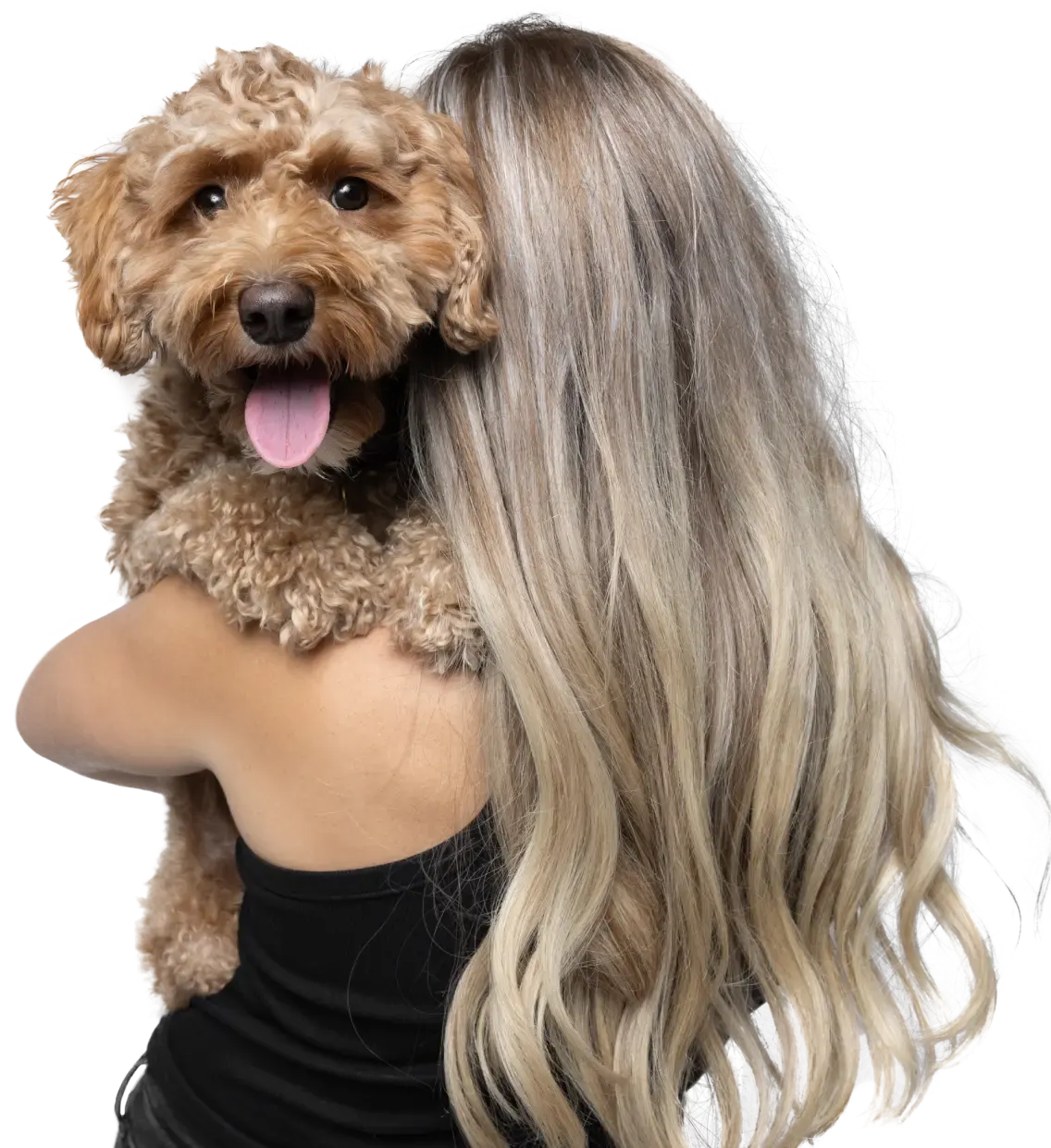 Homepage - Wellness Rewards for Routine Care