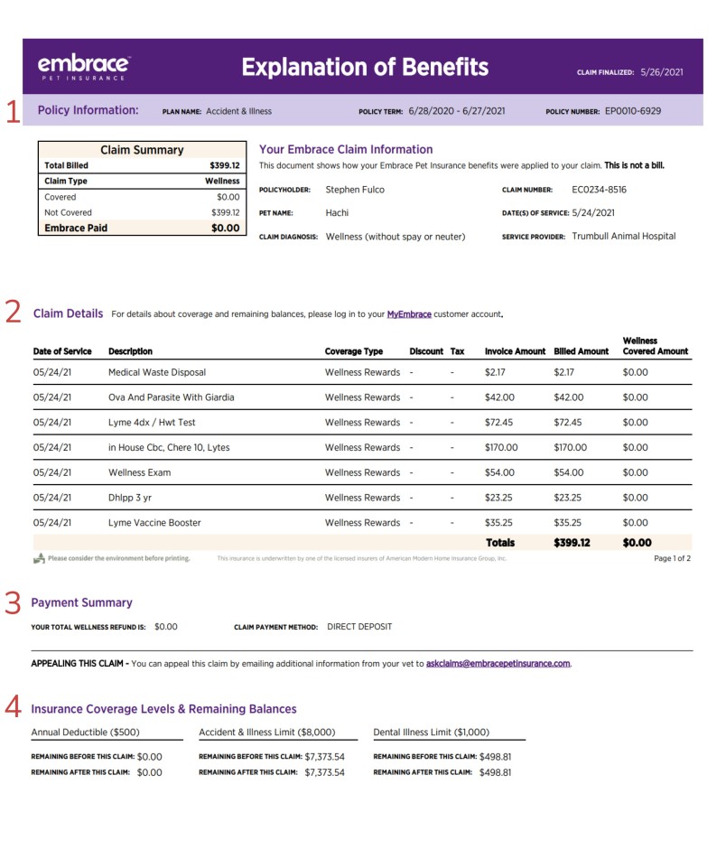 Each section of the Explanation of Benefits displays the Claim and Policy Information, Claim Details, Payment Summary, and Remaining Coverage