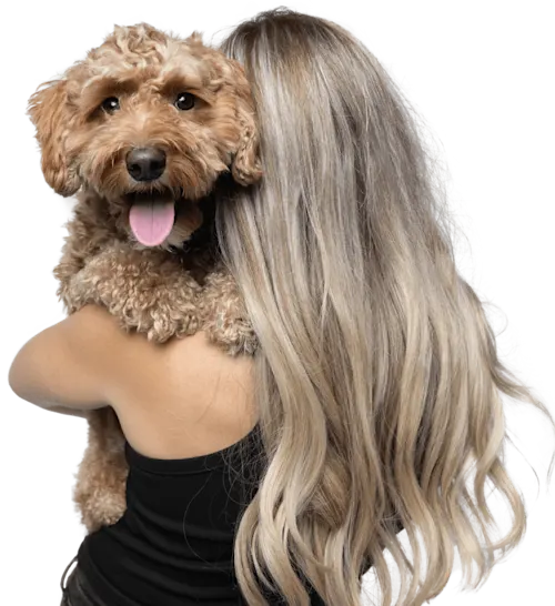 img-section-2-wellness@3x