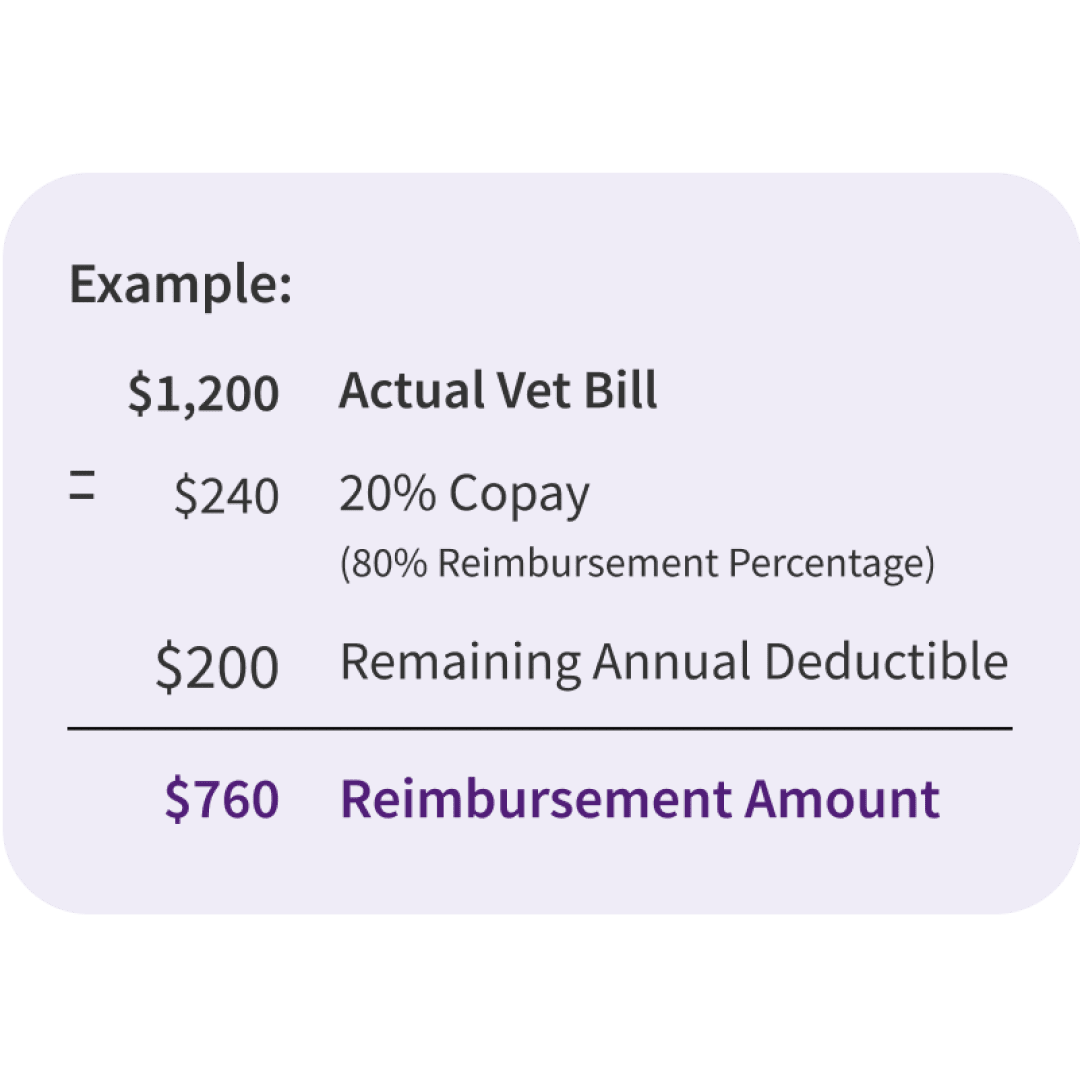 Pet insurance reimbursement calculation example showing a $1,200 actual vet bill, minus a $240 copay and $200 remaining deductible, resulting in an $760 reimbursement amount with an 80% reimbursement percentage.