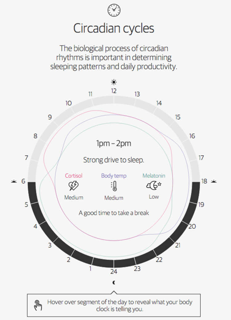 Vis 2: Circadian cycle clock displaying the body temperature as well as melatonin and cortisol levels for each hour of the day 