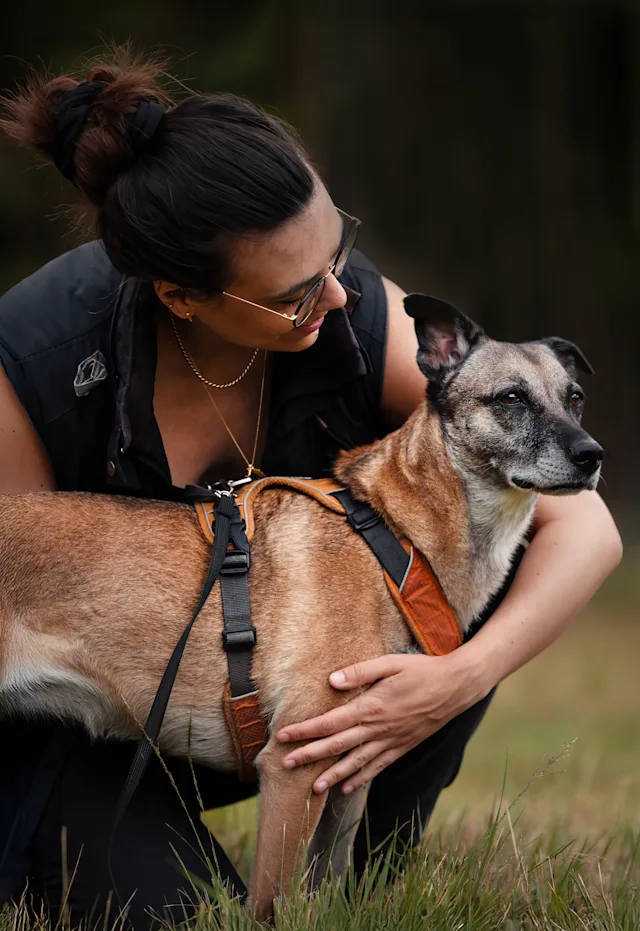 Trille – hundefoto fra Hundefotografi i Nordsjælland