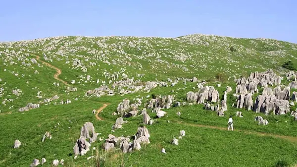 Akiyoshidai Quasi-National Park