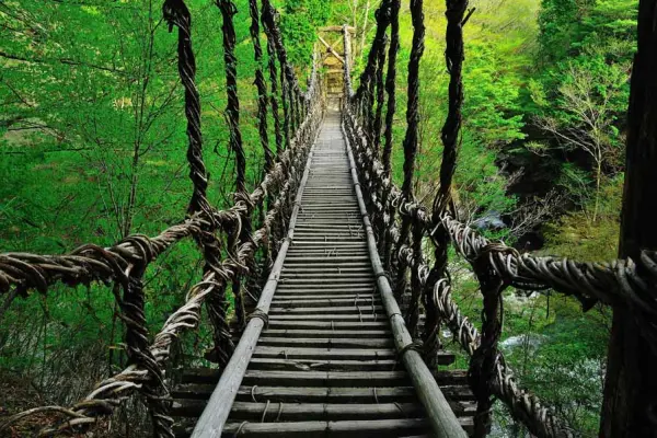 Oku-Iya Niju Kazura Bashi (Double Vine Bridge)