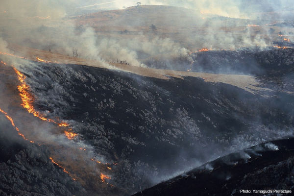 La montagne en feu à Akiyoshidai