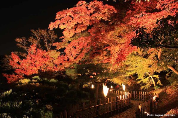 Les illuminations d'automne de Ritsurin