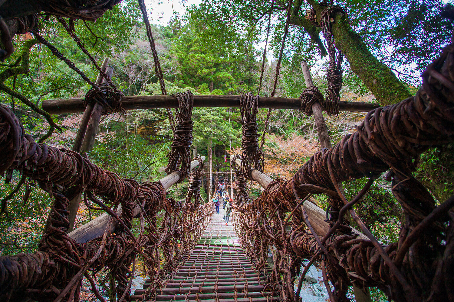 【行先板】 徳島行 FOR TOKUSHIMA ✕牟岐行FOR MUGI Innovative Art to Untouched Nature: Exploring the Charms of