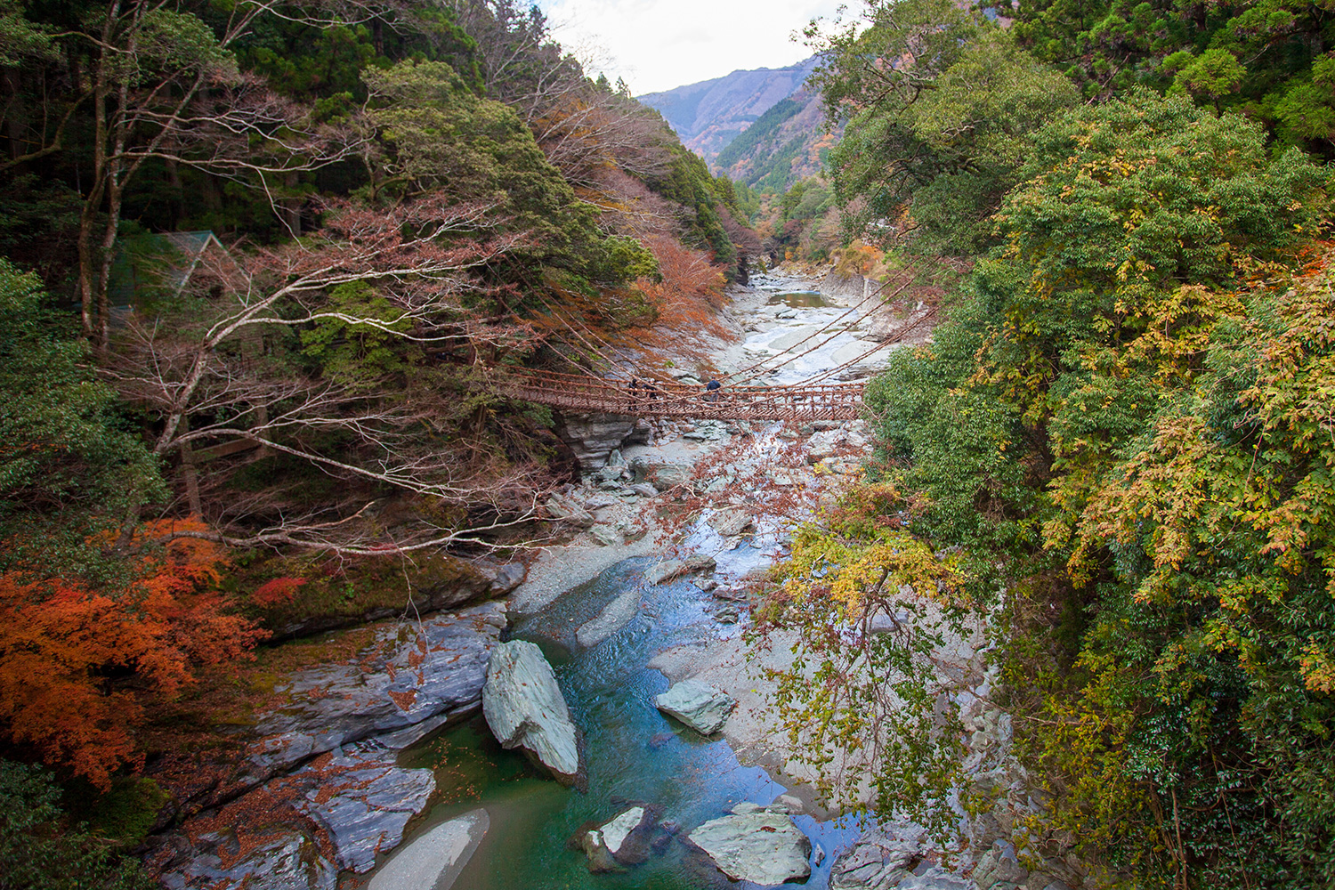 【行先板】 徳島行 FOR TOKUSHIMA ✕牟岐行FOR MUGI Innovative Art to Untouched Nature: Exploring the Charms of