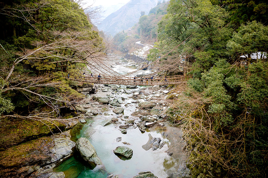 Tokushima | The 800-Year Old Vine Bridges of Iya Valley