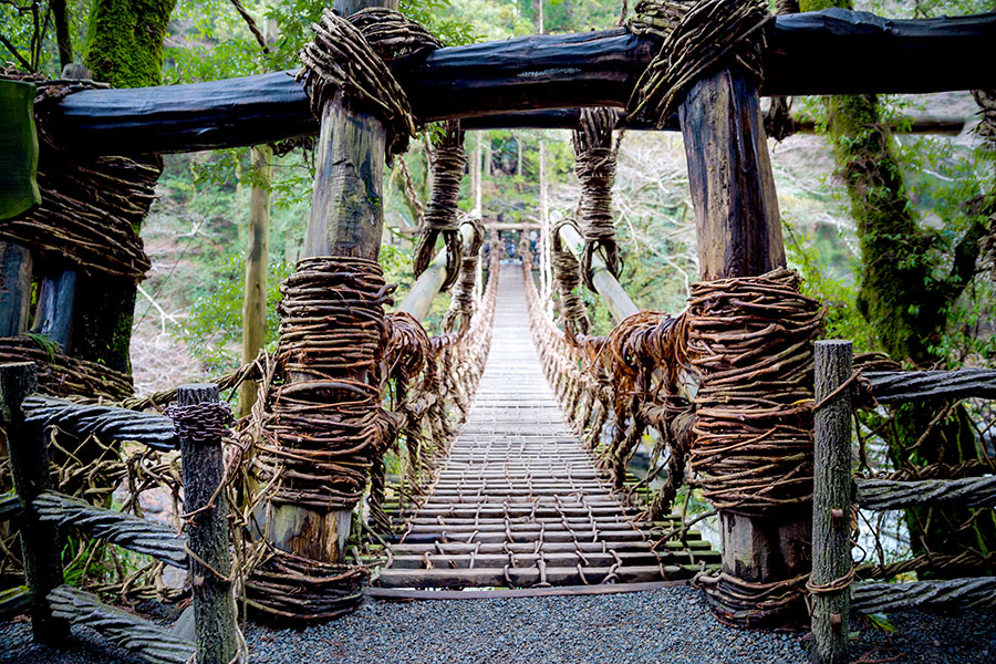 Tokushima | The 800-Year Old Vine Bridges of Iya Valley